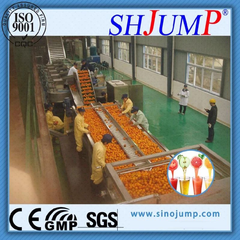 Avocado Puree Processing Line/Avocado Juice Processing Line
