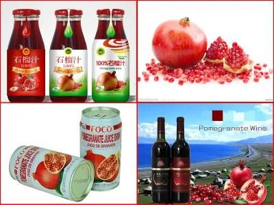 Pomegranate Juice Production Line Aseptic Filling in Glass Bottle/Can/Carton