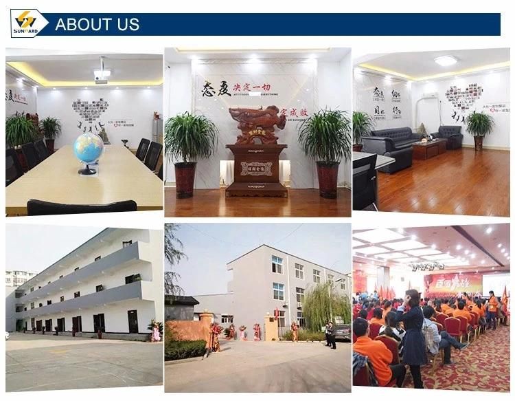 Fortified Nutritional Artificial Rice Making Machinery Artificial Rice Processing Extruder