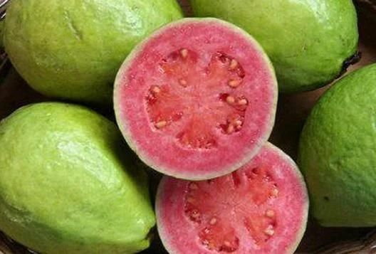 Complete Guava Jam Processing Machines