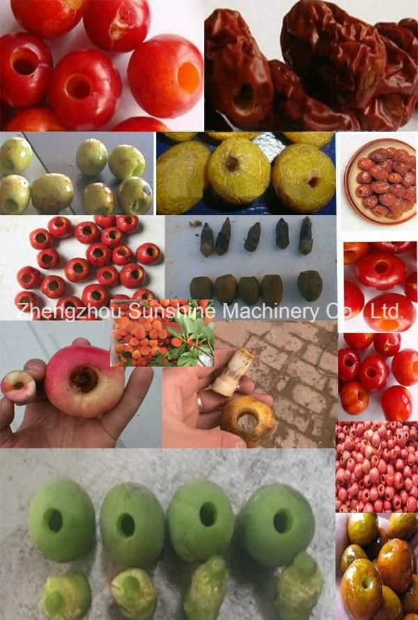 100kg Stainless Steel Date Olive Pitter Machine Olive Pitting Machine