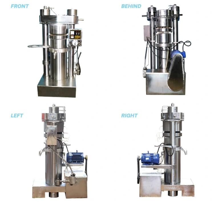Hydraulic Oil Press Olive Oil Extractor Cold Hot Oil Processing Machine