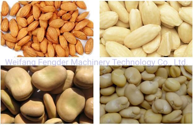 100-150kg/H Raw Peanut Red Skin Peeler Almond/Broad Bean Peeling Machine