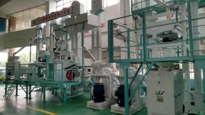 Clj 50-150tons Per Day Turn Key Complete Set Rice Milling Machine in Egypt