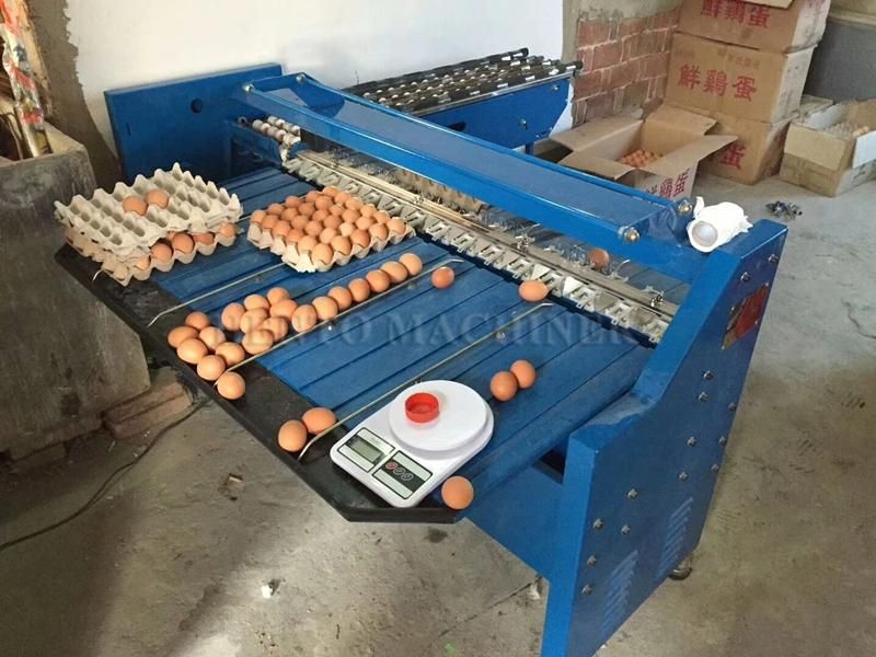 Long Service Life Hot Sale Small Scale Egg Washer Candler Grader Printer Machine Line