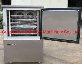 High Capacity Blast Freezer for Sale