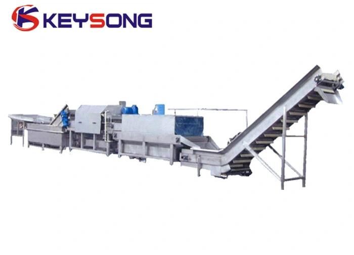 Air Bubble Fruit Vegetable Washing Machinery