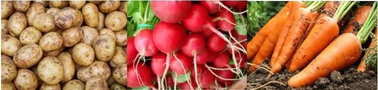 Radish Ginger Carrot Drum Washing Machine Cleaning Roller Polishing Washers