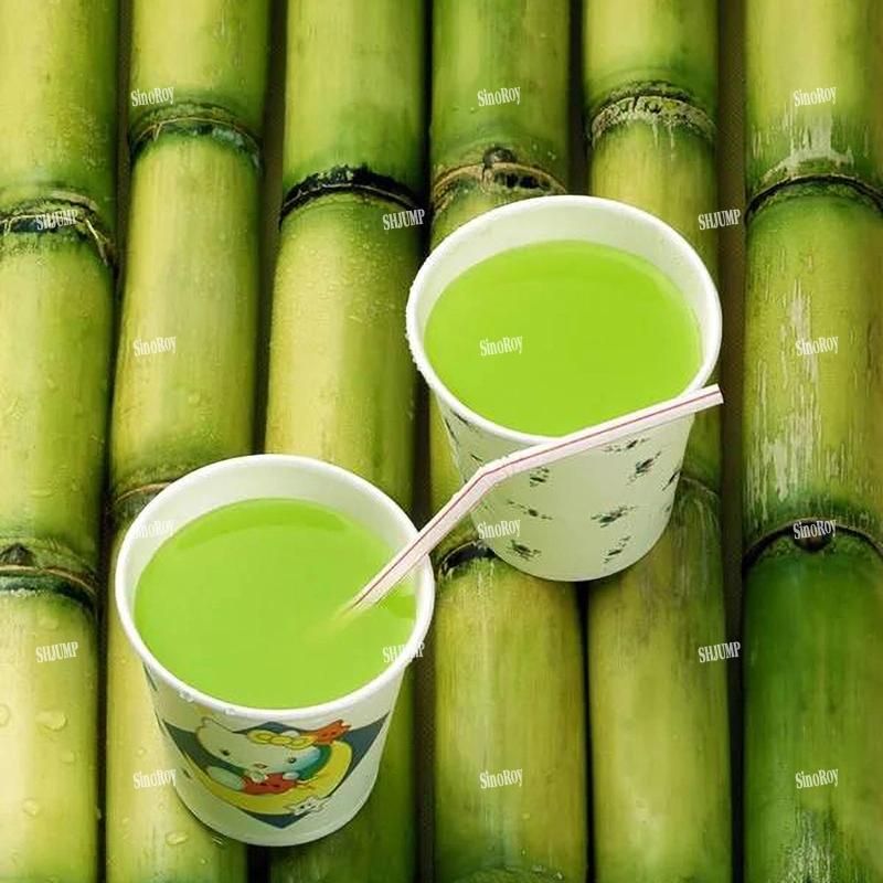 Sugarcane Juice Puree Concentrate Processing Production Line