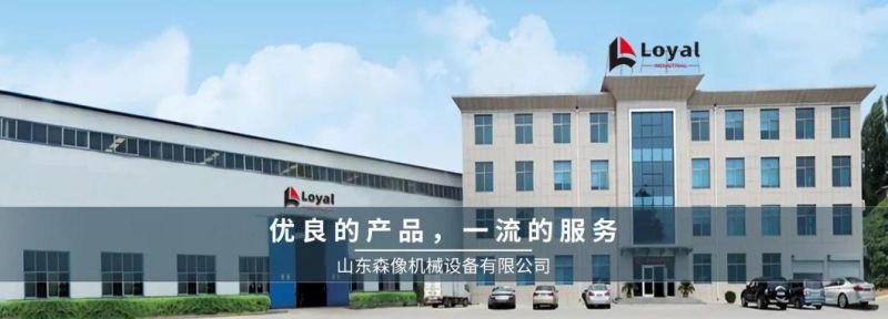 Advanced Technology Instant Noodle Machinery/Line/Fried Bag Instant Noodle Production Line
