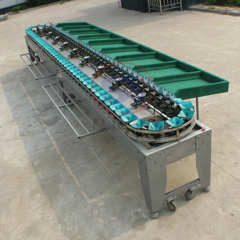 Popular Fruit&Vegetable Weight Grading Sorting Machine Single Side