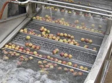 Fruit Washer Ozone Sterilizer Auto Apple Washing Machine