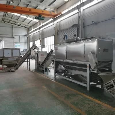 Dry Garlic Peeling Machine Factory Automatic Garlic Peeling Machine