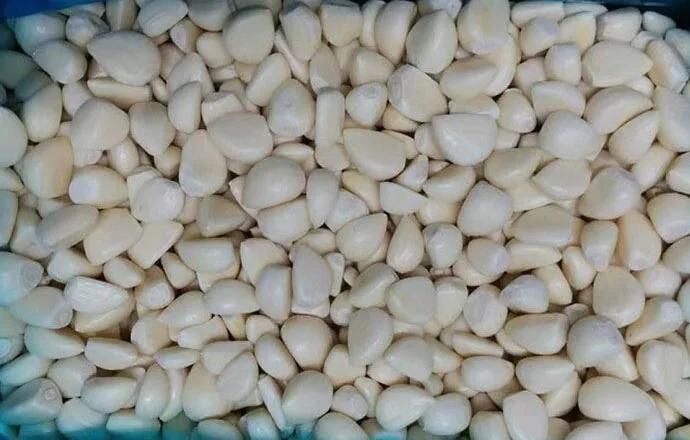Commercial Food Dehydrator Machines Garlic Dehydration Machine