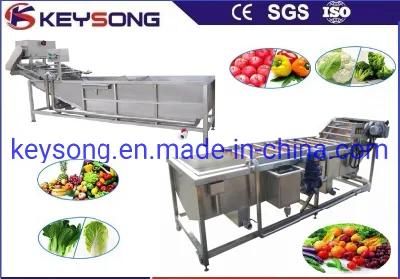 Fruit Processing Line Bubble Washing Machinery
