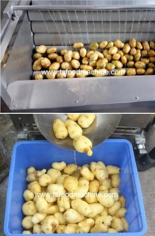 Tsxm-15 Industrial Vegetable Washing Washer Equipment Brush Potato Cleaning Peeling Machine