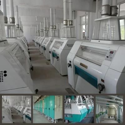 300t Wheat Flour Mill