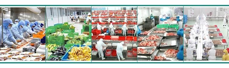 Kimchi Pickled Vegetable Mixing Mixer Seasoning Flavoring Machine