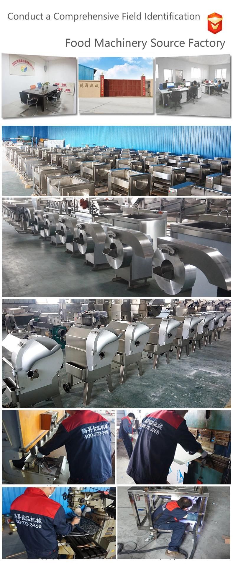 Stainless Steel Beef Slicer Multifunctional Meat Cutting Machine Sausage Machine (QX-30)