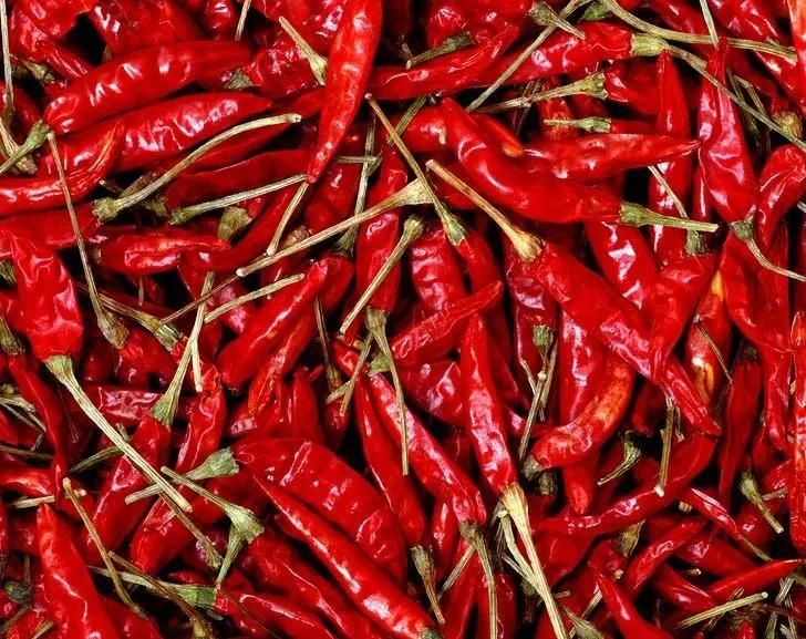 Industrial Fruit and Vegetable Drying Pepper Dryer Machine