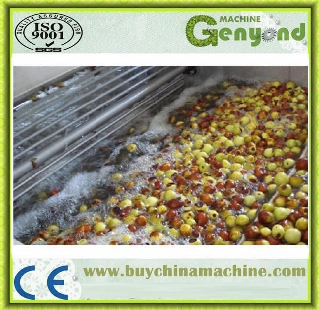 Full Stainless Steel Fruit Washing Machine