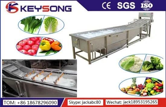 Steady Performance Fruit Washing Machinery
