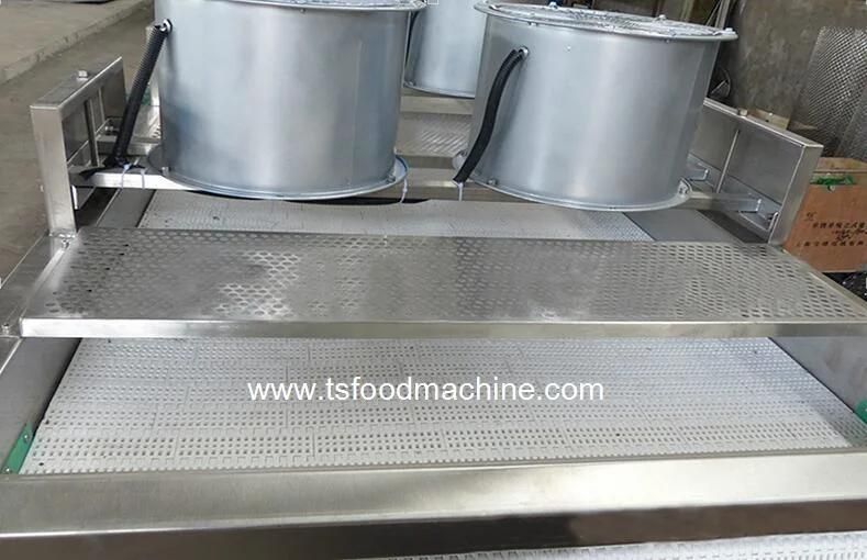 Fruit and Vegetable Belt Conveyor Dryer Equipment Pepper Air Drying Machine