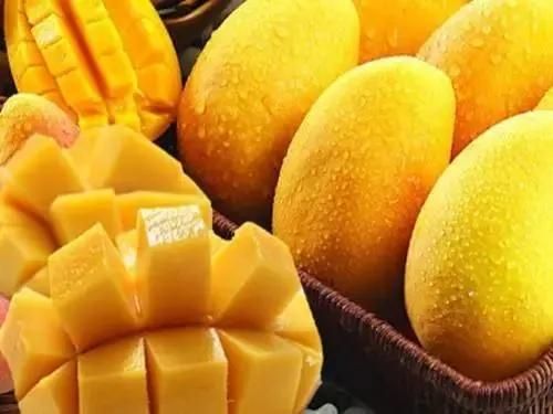 Fruits Washer Bubble Washing Machinery Mango Washing Machine