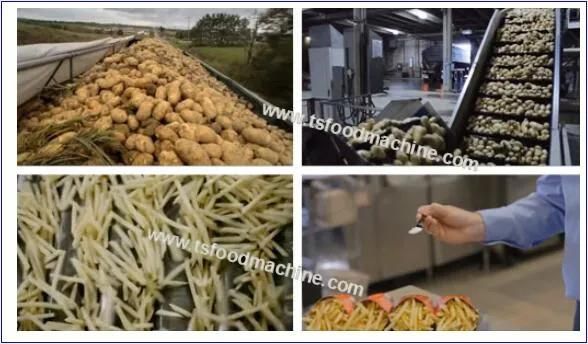 French Fries Frying Machine French Fries Making Machine / Potato French Fries Production Line