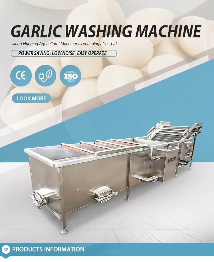 Bubble Cleaning Machine for Fruit and Vegetable Production Line