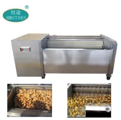 Fresh Young Ginger Washing Machine Ginger Machine