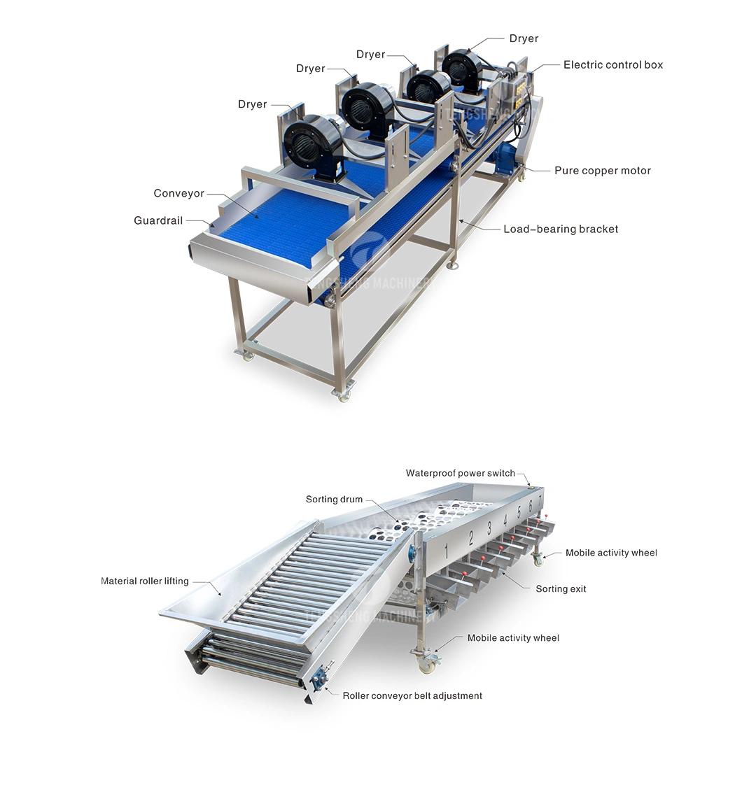 Citrus Apple Orange Passion Fruit Cleaning Air Drying Sorting Production Line Food Processing Equipment Machine