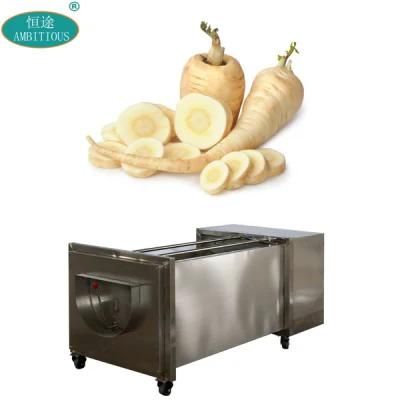 Brush Roller Washer Commercial Parsnip Washing and Cleaning Machine