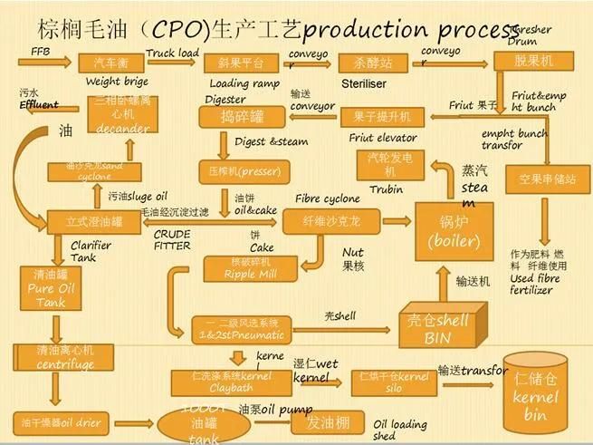 Thailand Palm Oil Mill Process Description Oil Equipment