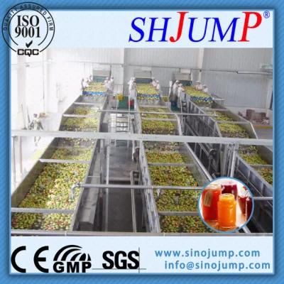150ml Glass Bottled Fruit Jam Concentration Processing Line