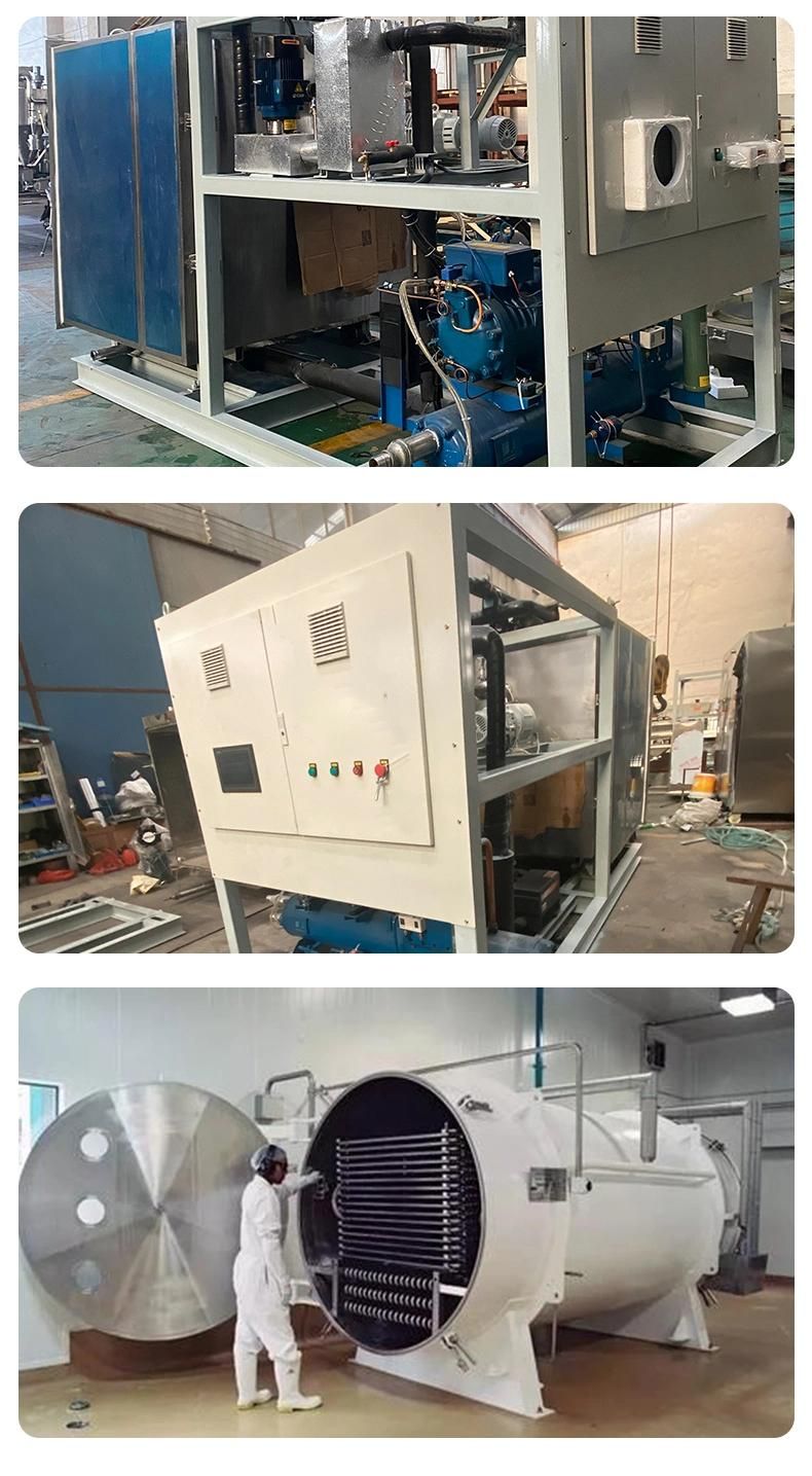 Vacuum Freeze Dryer for Pet Food Fruit Vegetable Freeze Dryer Machine Low Price Manufacture From China