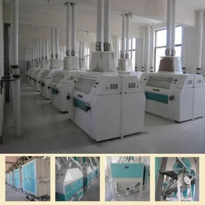 200t/24h Wheat Flour Processing Machine