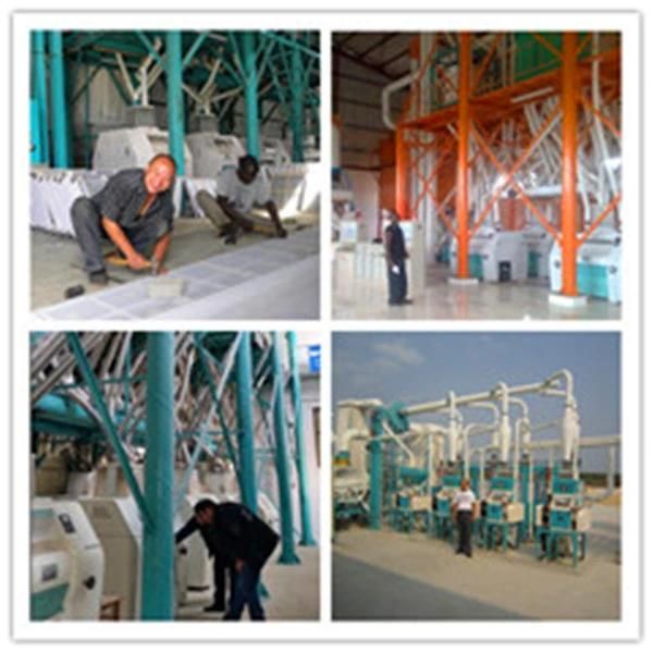 Good Quality China Maize Flour Mill Machine in Kinshasa Congo