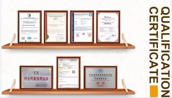 China Top Quality Pasta Macaroni Production Equipment