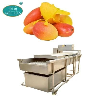 Brush Fruit Washing Machinery for Wash Fruits Mango Commercial Washing Machine