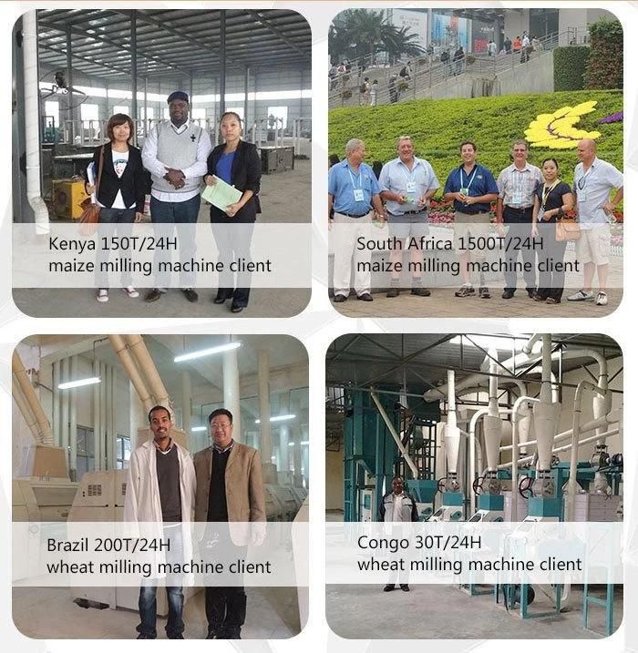 2021 Automatic 36tpd Wheat Processing Machine
