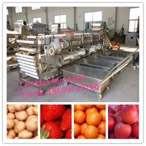 Automatic Potato Sorting /Fruit Sorting/Vegetable Grading Machine