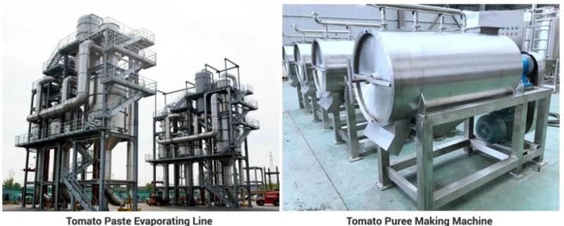 Tomato Ketchup Processing Concentrated Filling Plant Making Production Plant Paste Production Line