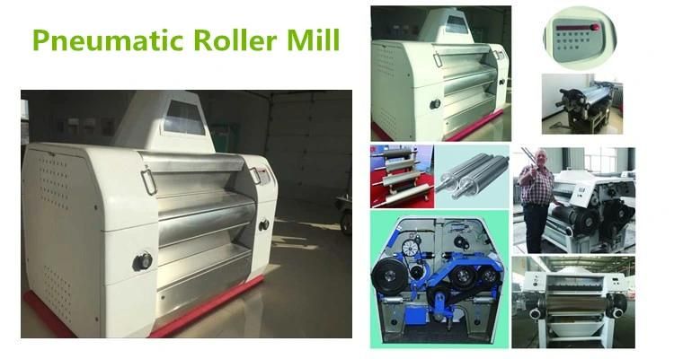 China Maize Mill Supplier Maize Flour Milling Machine