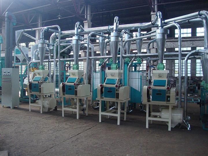 Complete Set of 20t Maize Milling Plant