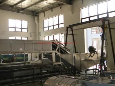 Citrus Machine/Pineapple Puree Making Line/Orange Juice Processing Equipment