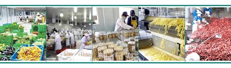 Continuous Conveyor Belt Blanche Machinery Groundnut Blanching Machine