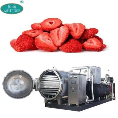 Fruit Vacuum Lyophilizer Strawberry Freeze Drying Machine