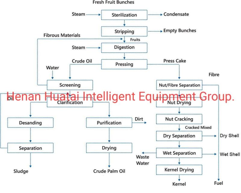 Palm Kernel Crushing/Drying/Steaming/Frying/Oil Extraction/Red Oil Filtration Equipment