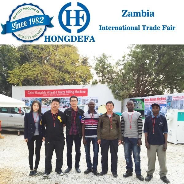 100t/24h Maize Flour Grinding Machine Maize Processing Machine Kitwe Zambia